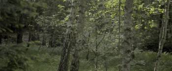 Screenshot 3 from Alone in Berlin (Full Movie)