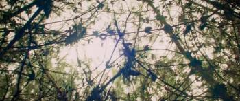 Screenshot 1 from Amar es Madurar (Full Movie)