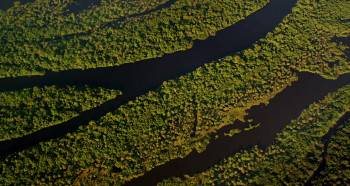 Screenshot 1 from Amazonia (Full Movie)