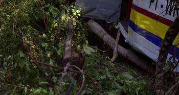 Screenshot 3 from Amazonia (Full Movie)