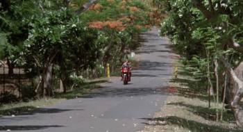 Screenshot 1 from American Ninja (Full Movie)