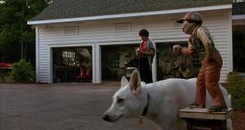 Screenshot 3 from Amos & Andrew (Full Movie)