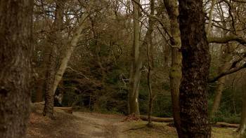 Screenshot 1 from An Adventure in Space and Time (Full Movie)