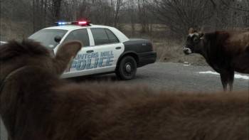 Screenshot 3 from An Amish Murder (Full Movie)