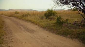 Screenshot 3 from An Elephant's Journey (Full Movie)