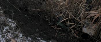 Screenshot 2 from Anadolu Leopari (Full Movie)