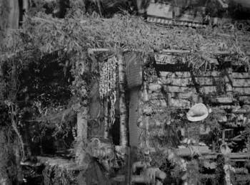 Screenshot 1 from Anatahan (Full Movie)