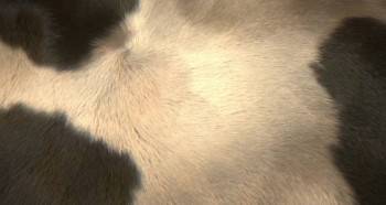 Screenshot 3 from Anchors Up (Full Movie)