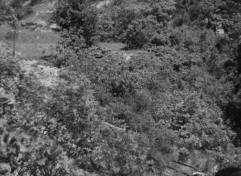 Screenshot 1 from Angele (Full Movie)