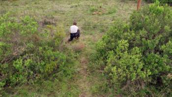 Screenshot 1 from Animals on the Loose: A You vs. Wild Movie (Full Movie)