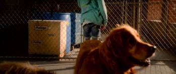 Screenshot 3 from Annie (Full Movie)