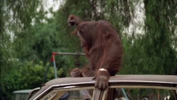 Screenshot 3 from Any Which Way You Can (Full Movie)