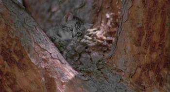 Screenshot 1 from Armed and Dangerous (Full Movie)