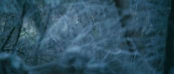 Screenshot 3 from Arn: The Knight Templar (Full Movie)
