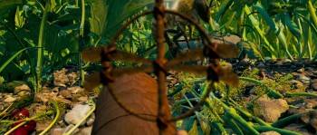 Screenshot 1 from Arthur and the Revenge of Maltazard (Full Movie)