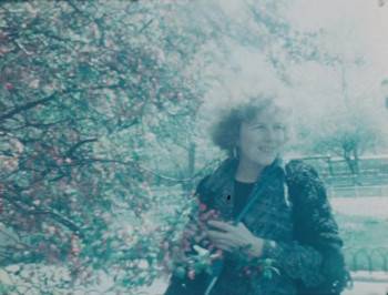 Screenshot 1 from As I Was Moving Ahead Occasionally I Saw Brief Glimpses of Beauty (Full Movie)