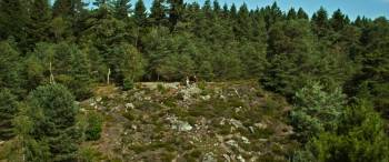 Screenshot 2 from Asterix & Obelix: The Middle Kingdom (Full Movie)