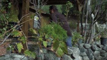 Screenshot 2 from Asteroid vs Earth (Full Movie)