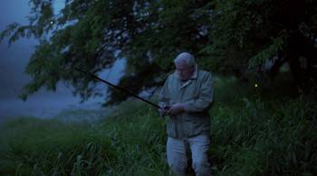 Screenshot 2 from Attenborough's Life That Glows (Full Movie)