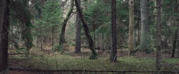 Screenshot 2 from Azrael (Full Movie)