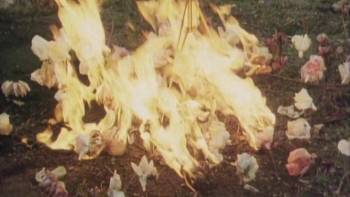 Screenshot 2 from B-Movie: Lust & Sound in West-Berlin 1979-1989 (Full Movie)