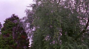 Screenshot 1 from Back to the Secret Garden (Full Movie)