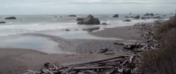 Screenshot 1 from Bad Fish (Full Movie)
