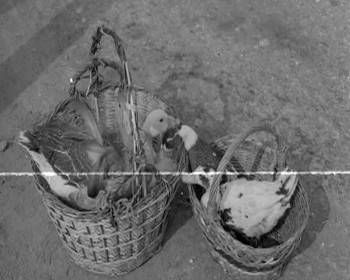 Screenshot 3 from Balul de sîmbata seara (Full Movie)