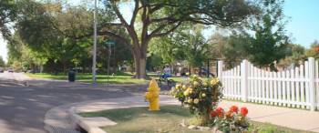 Screenshot 1 from Barb and Star Go to Vista Del Mar (Full Movie)