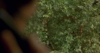 Screenshot 2 from Barking Dogs Never Bite (Full Movie)