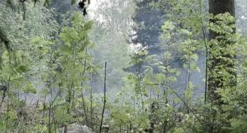 Screenshot 1 from Battle for Finland (Full Movie)
