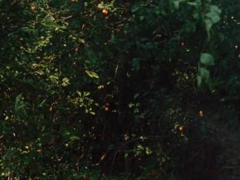 Screenshot 2 from Beatrix (Full Movie)