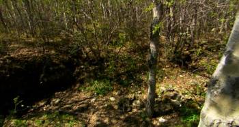 Screenshot 1 from Beauty of Snakes (Full Movie)