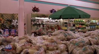 Screenshot 2 from Because of Winn-Dixie (Full Movie)