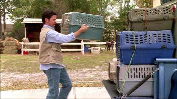 Screenshot 1 from Beethoven's Big Break (Full Movie)