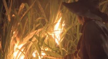 Screenshot 2 from Before Night Falls (Full Movie)