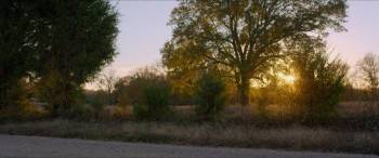 Screenshot 1 from Benji (Full Movie)