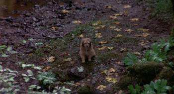 Screenshot 1 from Benji the Hunted (Full Movie)