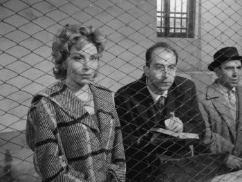 Screenshot 1 from Big Deal on Madonna Street (Full Movie)