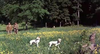 Screenshot 1 from Big Red (Full Movie)