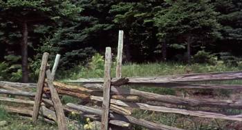 Screenshot 2 from Big Red (Full Movie)