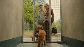 Screenshot 3 from Billy and Buddy (Full Movie)