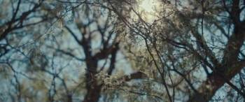 Screenshot 2 from Birthright Outlaw (Full Movie)