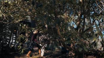 Screenshot 2 from Black Balsam (Full Movie)
