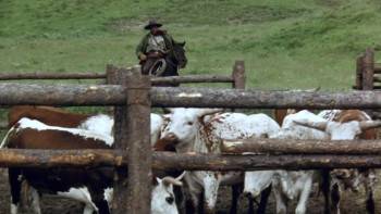 Screenshot 3 from Black Fox (Full Movie)
