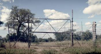 Screenshot 1 from Black Mambas (Full Movie)
