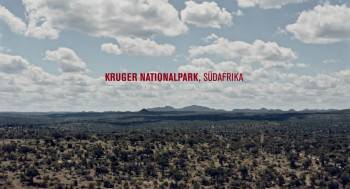 Screenshot 3 from Black Mambas (Full Movie)