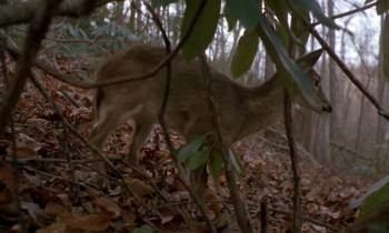 Screenshot 1 from Blastfighter (Full Movie)
