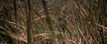 Screenshot 2 from Blind in Love (Full Movie)