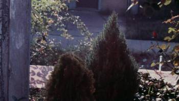 Screenshot 3 from Blood (Full Movie)